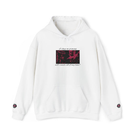 if i keep on growing will i waste all of my time? embroidered graphic hoodie