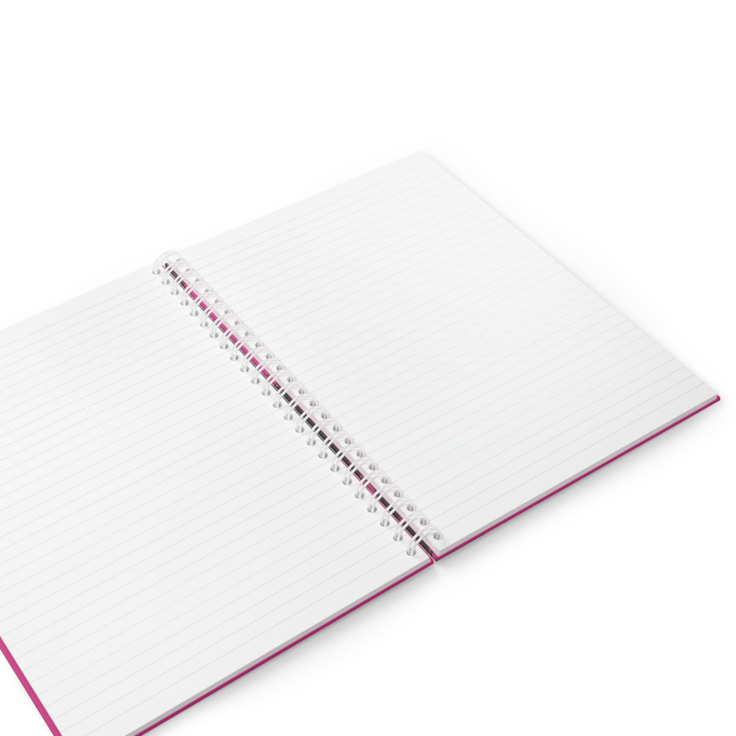 i wrote u some letters but they never got through spiral notebook
